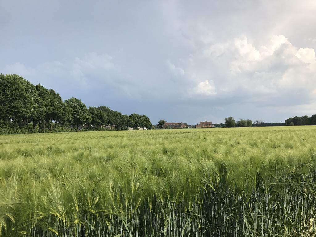 Appartementen De Zegelskoel Heijenrath Bagian luar foto