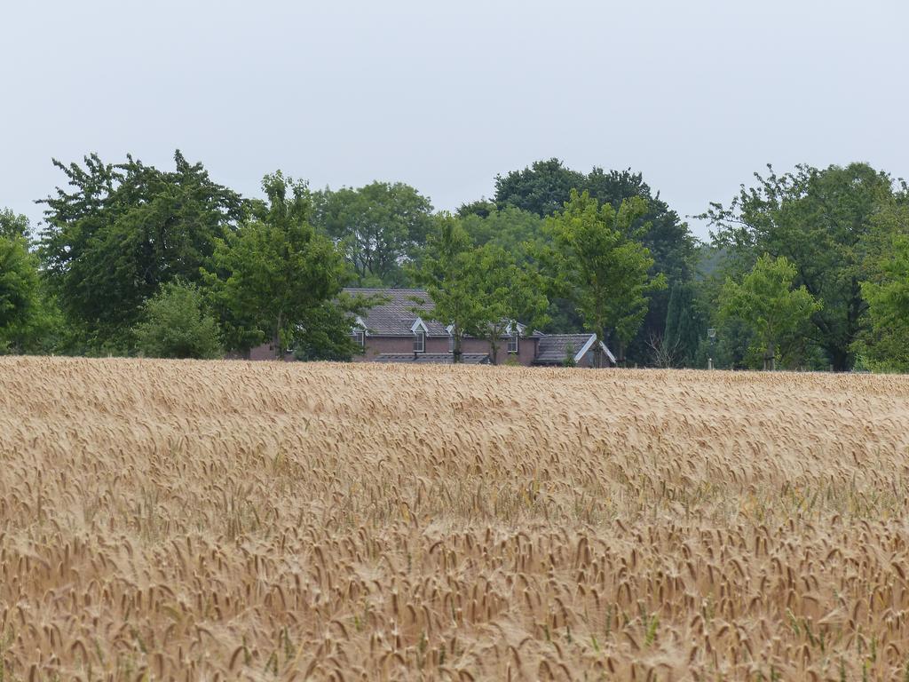 Appartementen De Zegelskoel Heijenrath Bagian luar foto